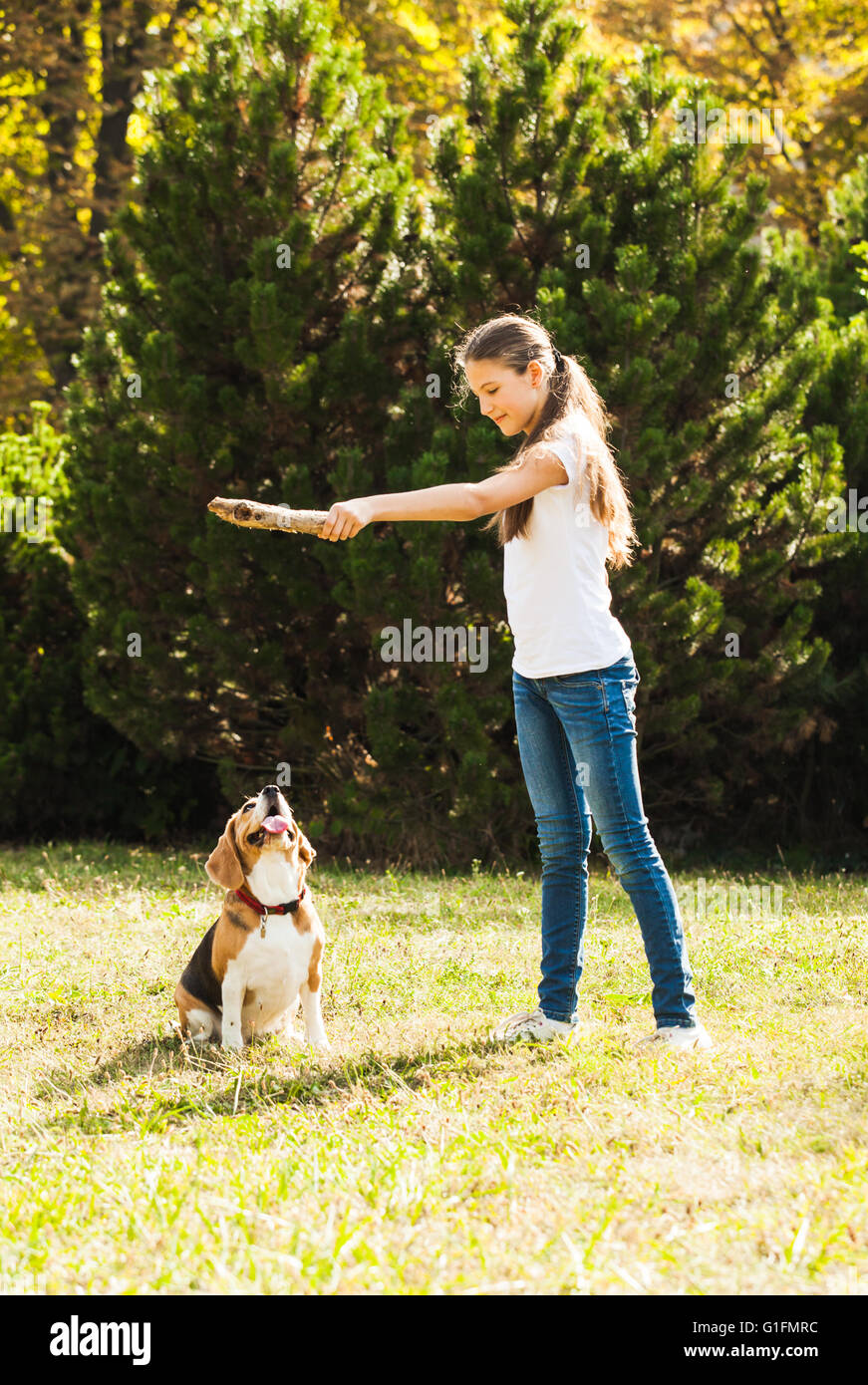Girl plays with a dog in the yard Stock Photo - Alamy
