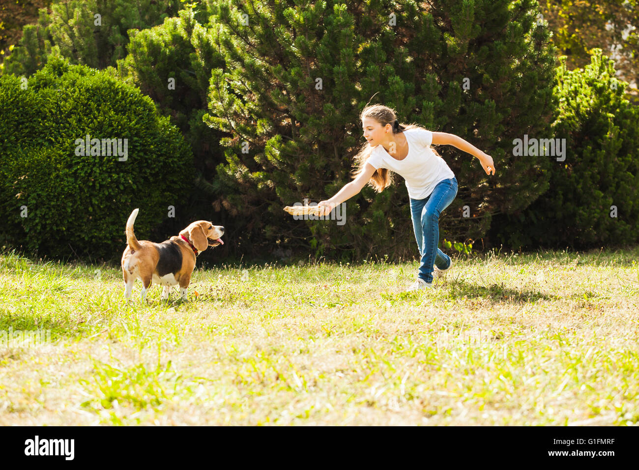 Girl plays with a dog in the yard Stock Photo - Alamy
