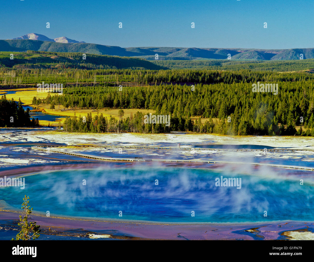 grand prismatic spring in the midway geyser basin of yellowstone national park, wyoming Stock Photo