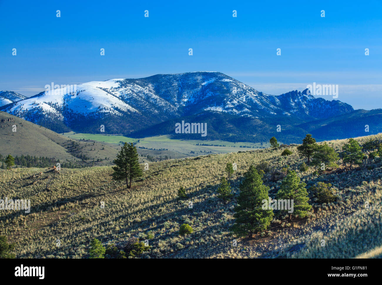 sleeping giant mountain and foothills near helena, montana Stock Photo - Alamy