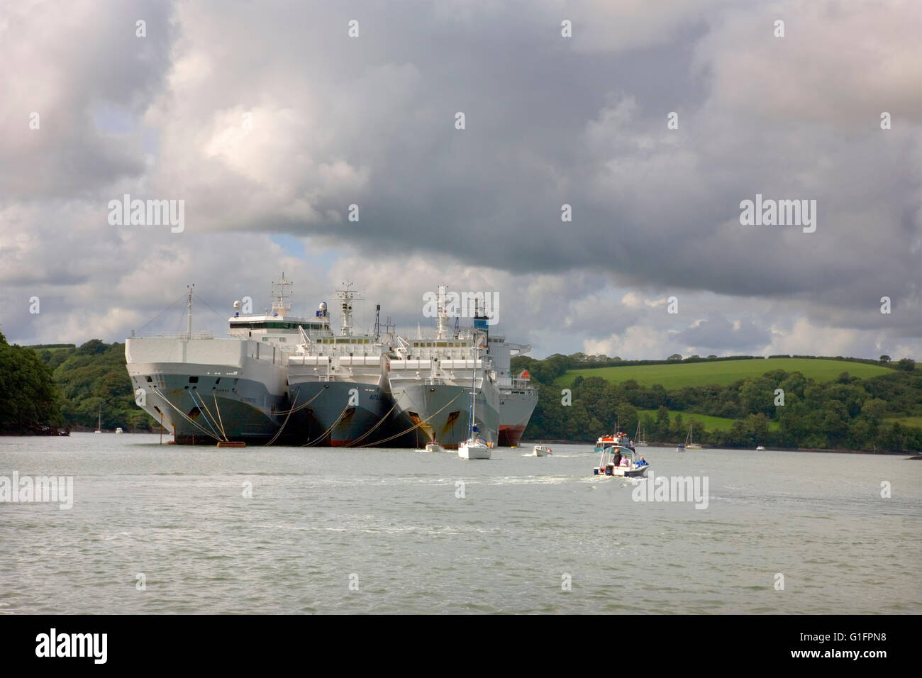 River Fal above King Harry Ferry, Cornwall, England, with several huge car transporter ships laid up on moorings in the river Stock Photo