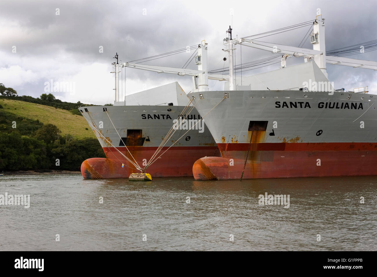 River Fal above King Harry Ferry at Tolverne, Cornwall, England, with