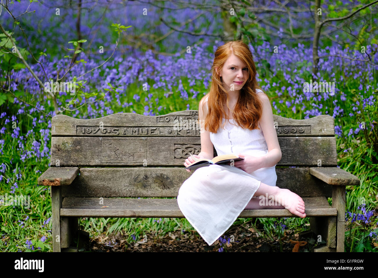 A young woman,redhead, in a white dress, sits on a bench with a book with woodland bluebells in the background. Stock Photo