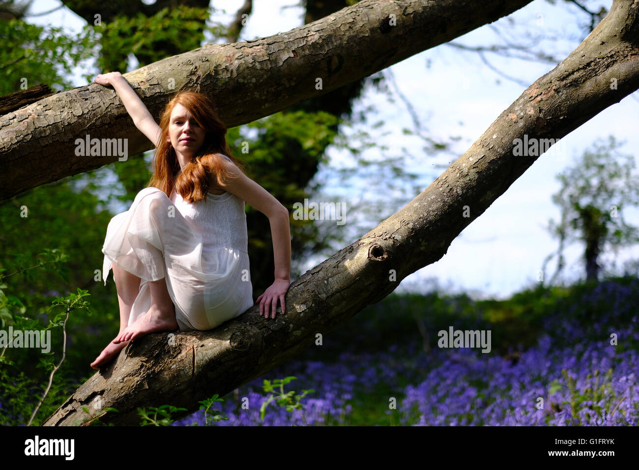 A young woman with long red hair and wearing a white dress sits between ...