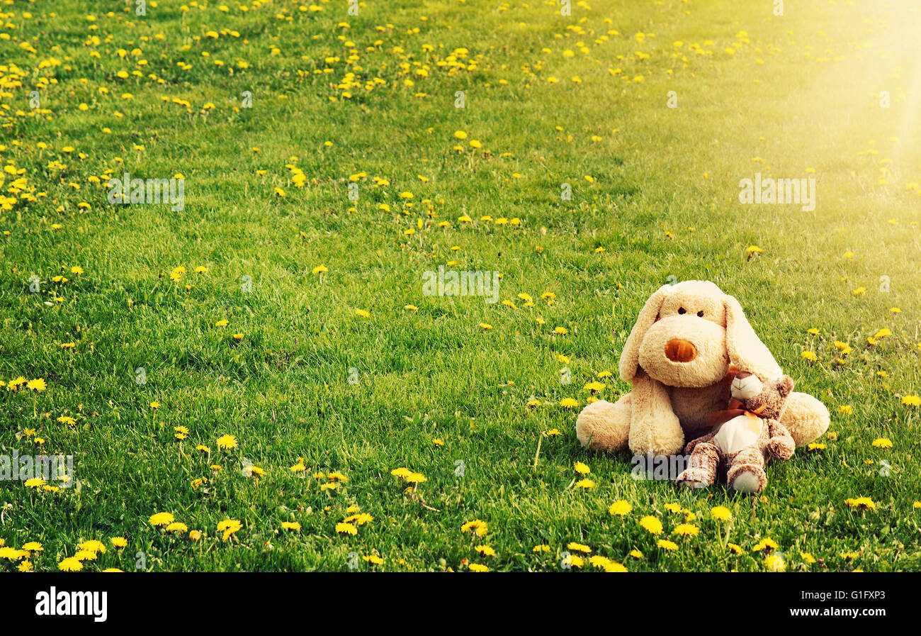 Plushtoys lying on the dandelion field Stock Photo