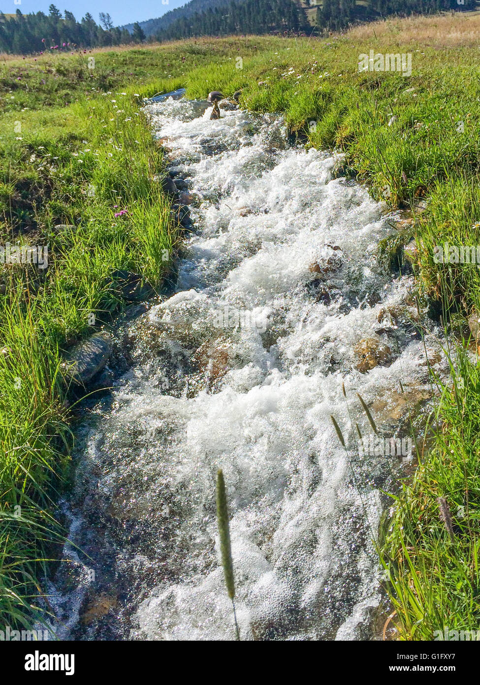 gushing uninhibited mountain stream of clear and clean water Stock Photo