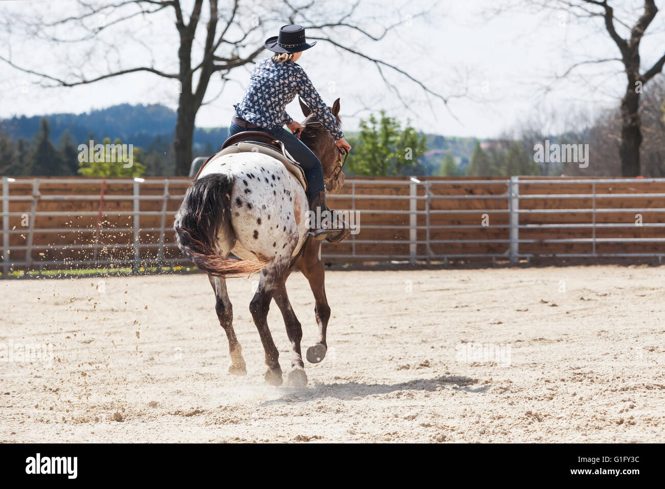 Young cowgirl with hat riding a beautiful paint horse in a barrel