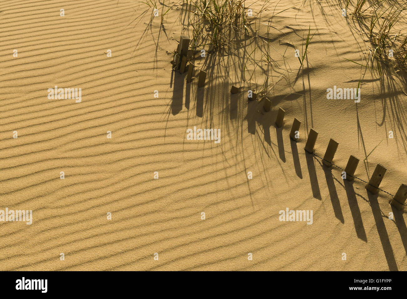 detail of beach with buried beach fencing and beach grass Stock Photo