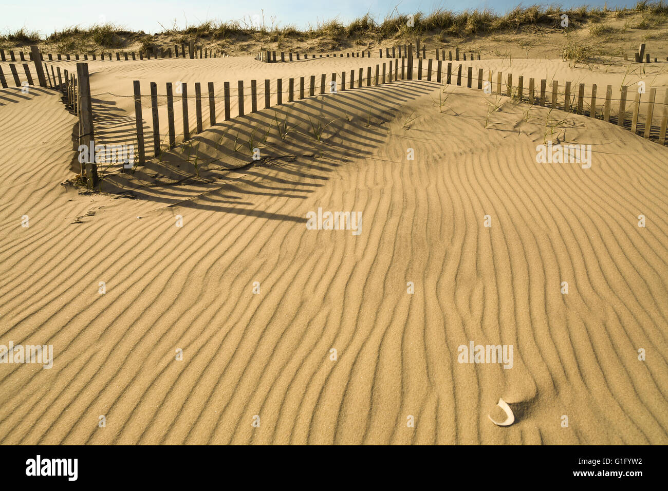 View of a portion of ocean beach with dunes, beach fencing and beach grass Stock Photo