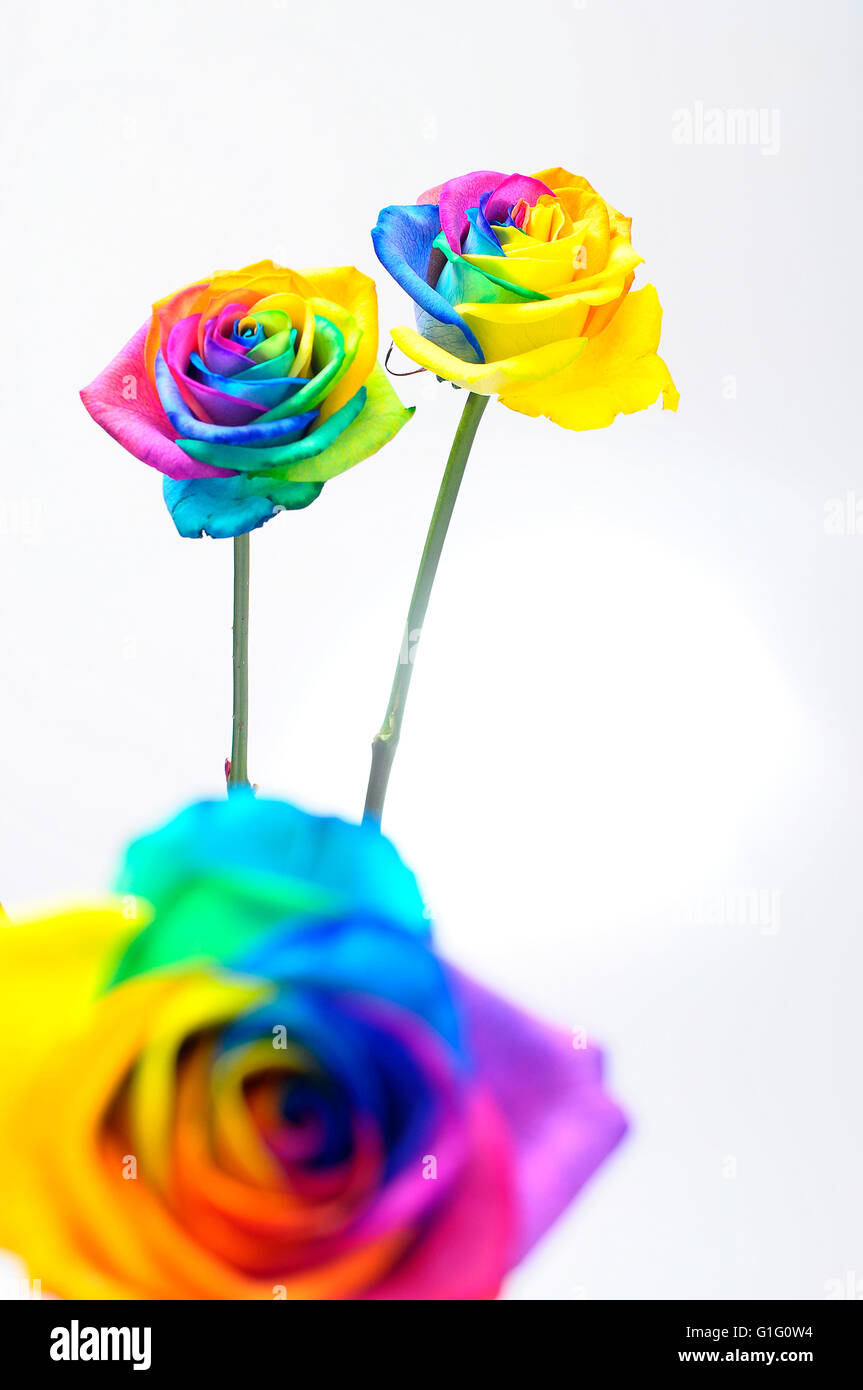 Happy flower hi-res stock photography and images - Alamy