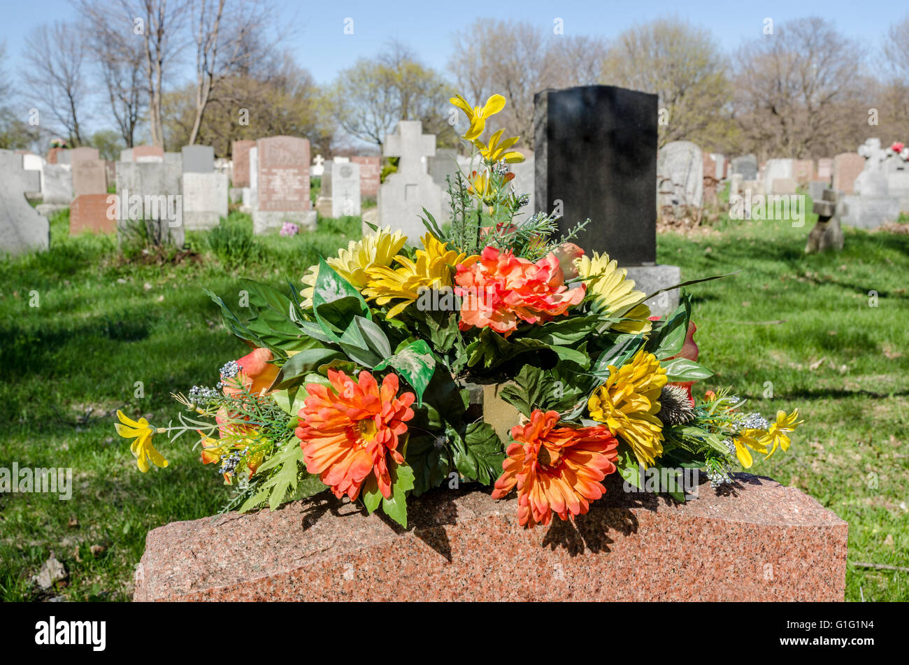 Flowers on a tombstone in a cemetary with hundreds of tombstones in the background Stock Photo