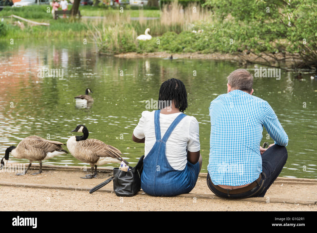 A young mixed-race couple sitting watching ducks swim on a pond Stock Photo