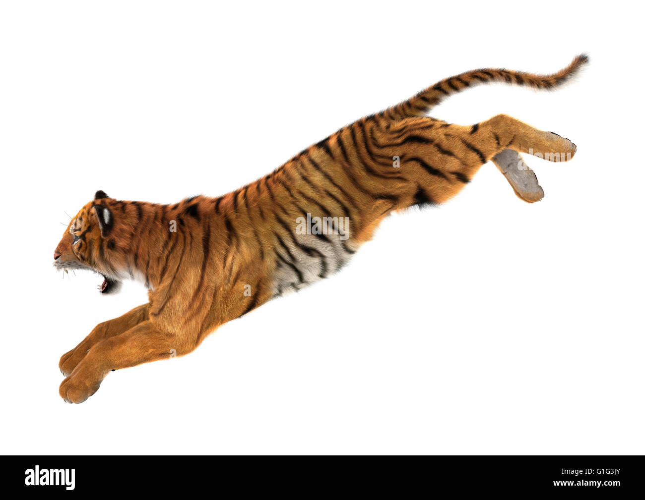 3D rendering of a big cat tiger jumping isolated on white background Stock Photo