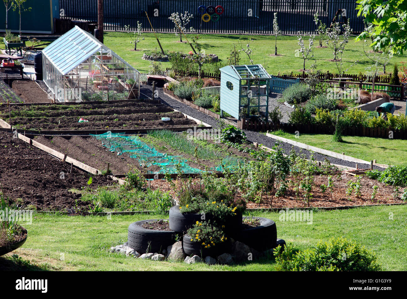 Carrickmacross Community Allotments Stock Photo