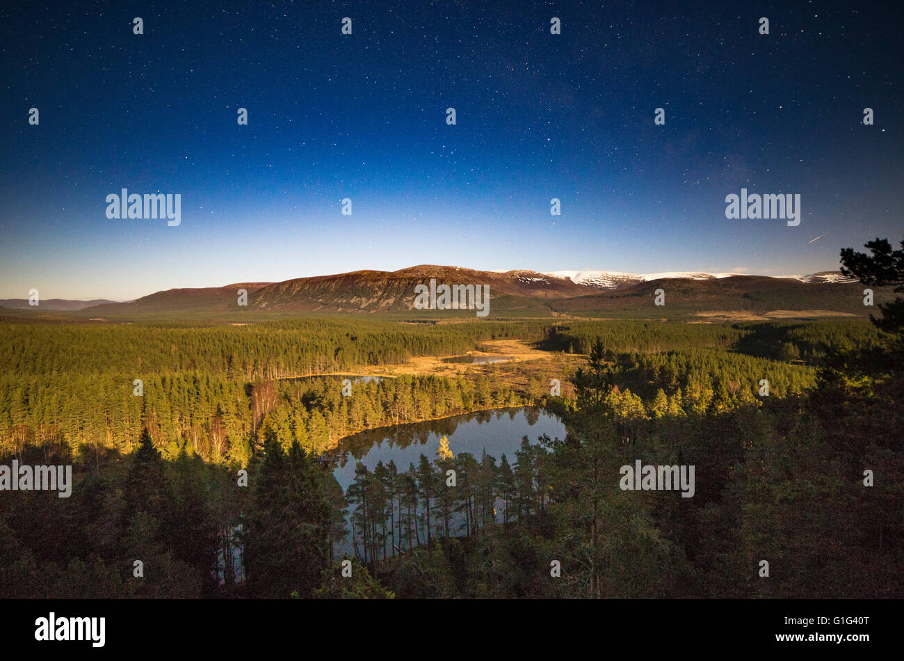 Starry sky over Inshriach Forest, Cairngorms National Park, Scotland Stock Photo