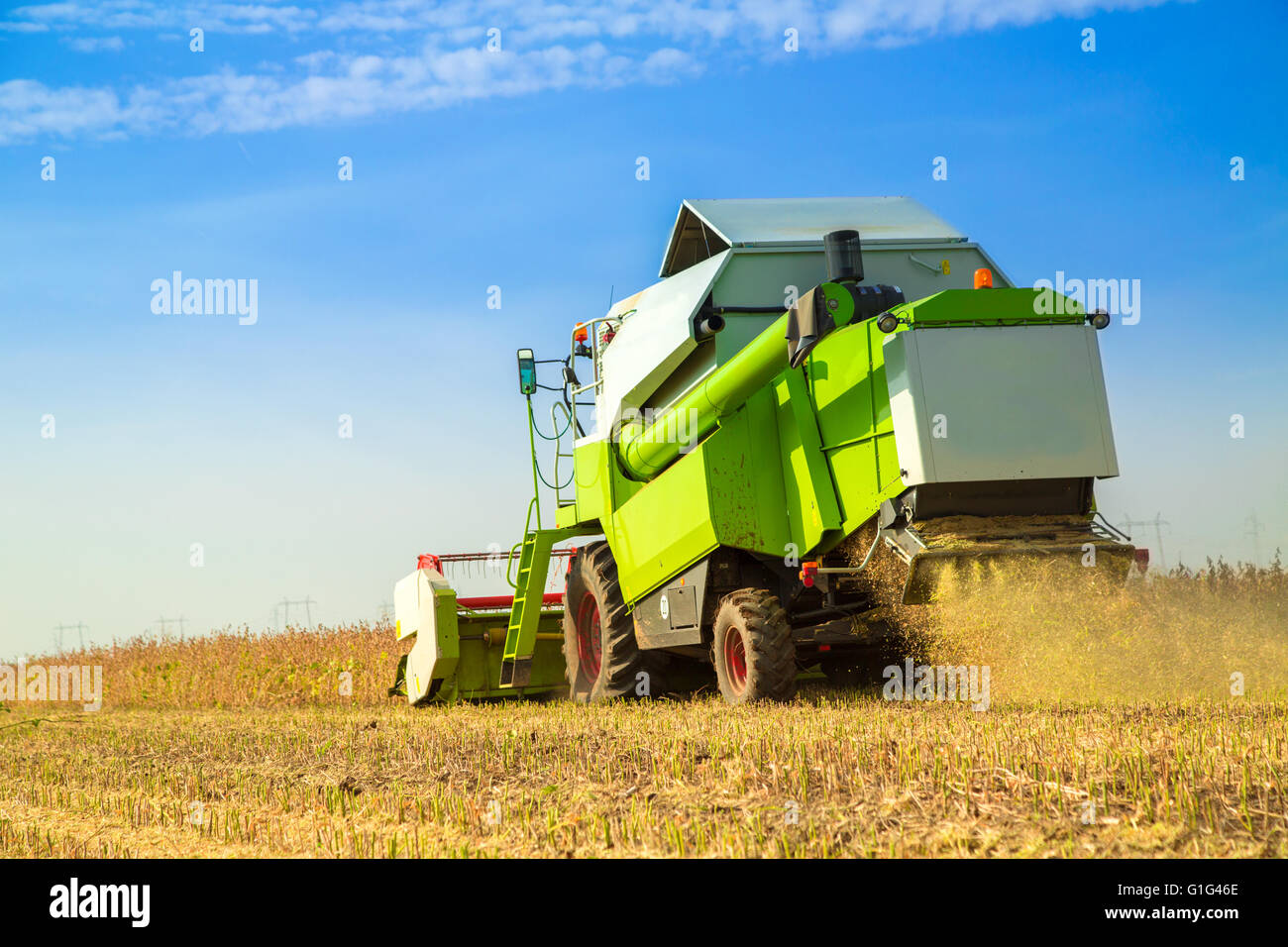 Combine harvester harvesting soybean at field Stock Photo
