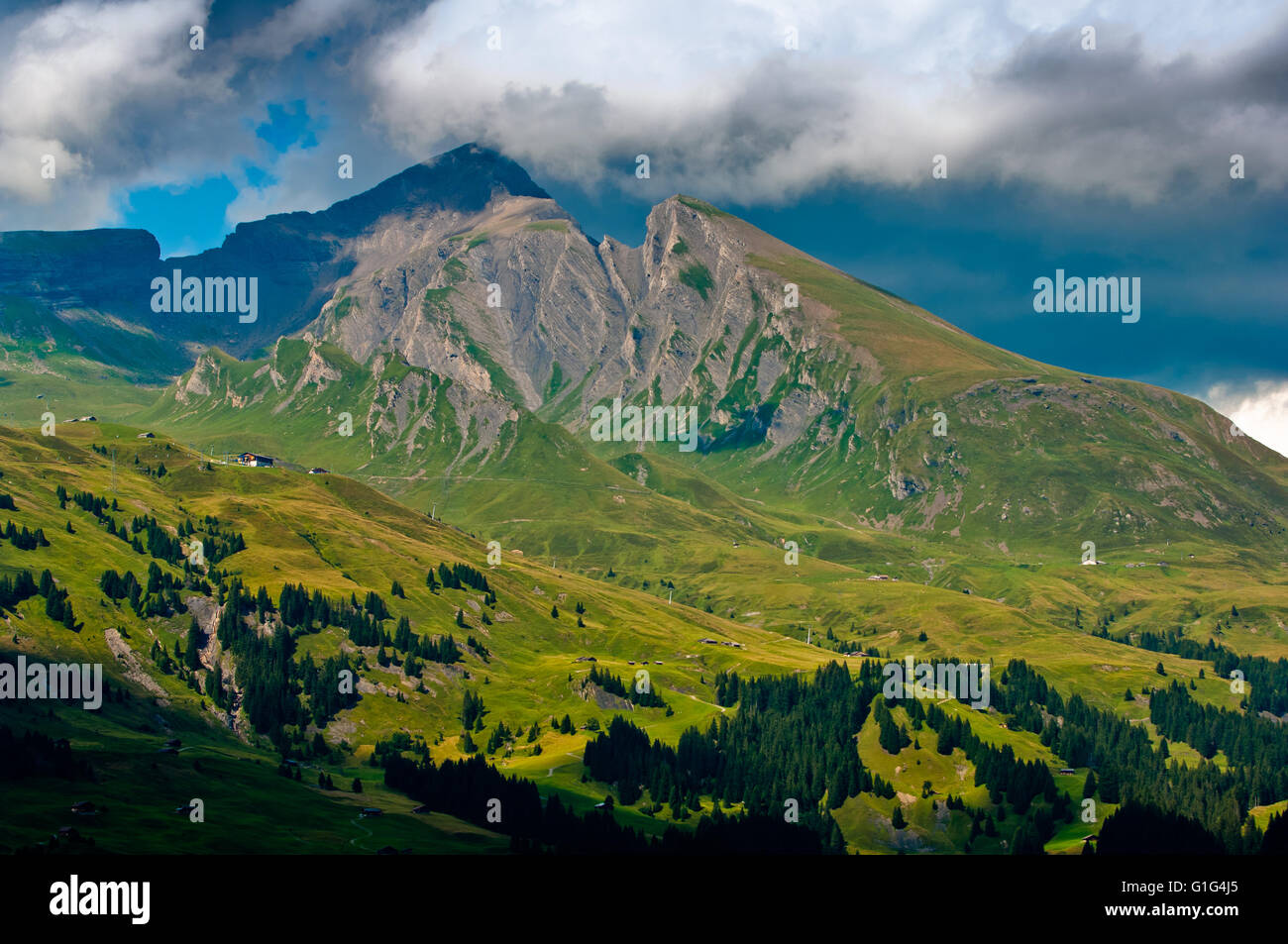 Summer in the Swiss mountains, Bernese Alps, Berner Oberland, Switzerland Stock Photo