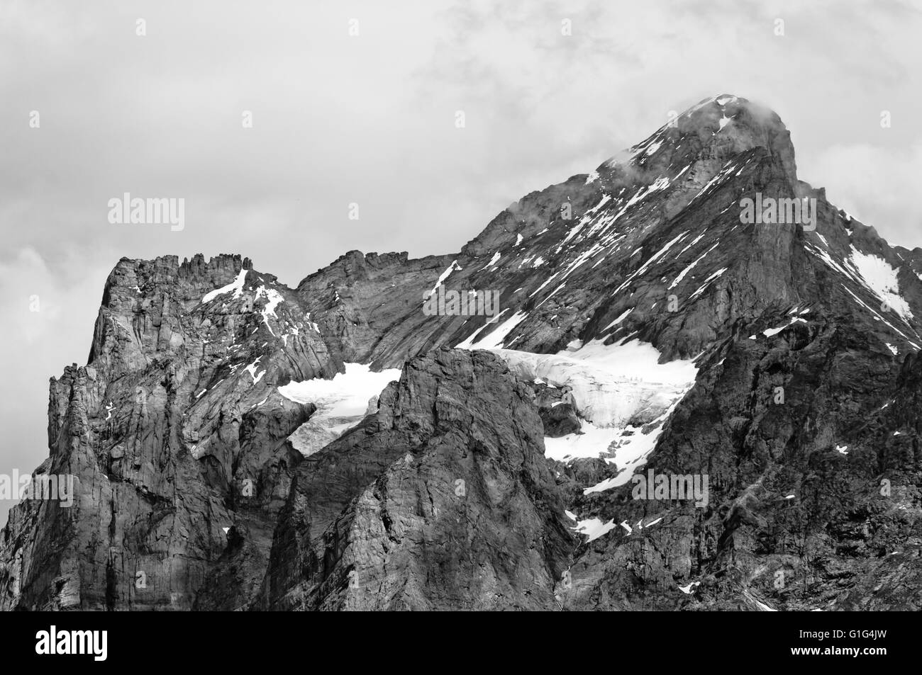 Wetterhorn, Bernese Alps in the summer, Swiss Alps, Alps, Switzerland Stock Photo