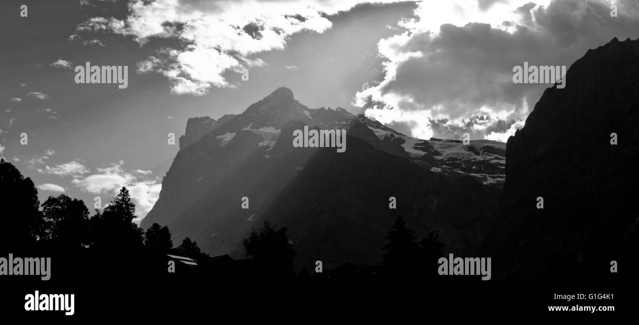 Wetterhorn, Bernese Alps in the summer, Swiss Alps, Alps, Switzerland Stock Photo