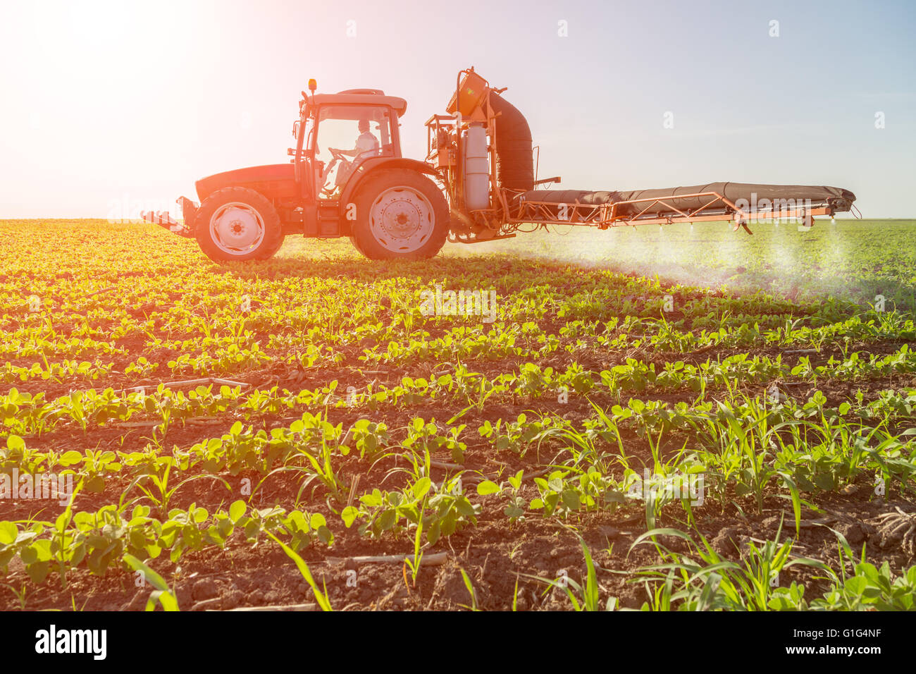 Tractor spraying soybean crops Stock Photo Alamy