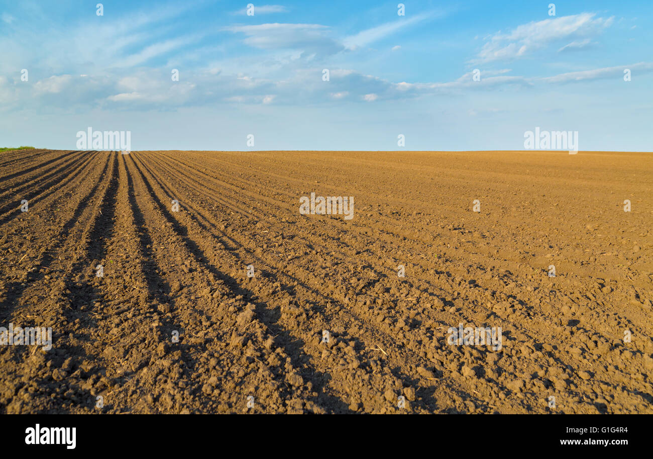 Arable land hires stock photography and images Alamy