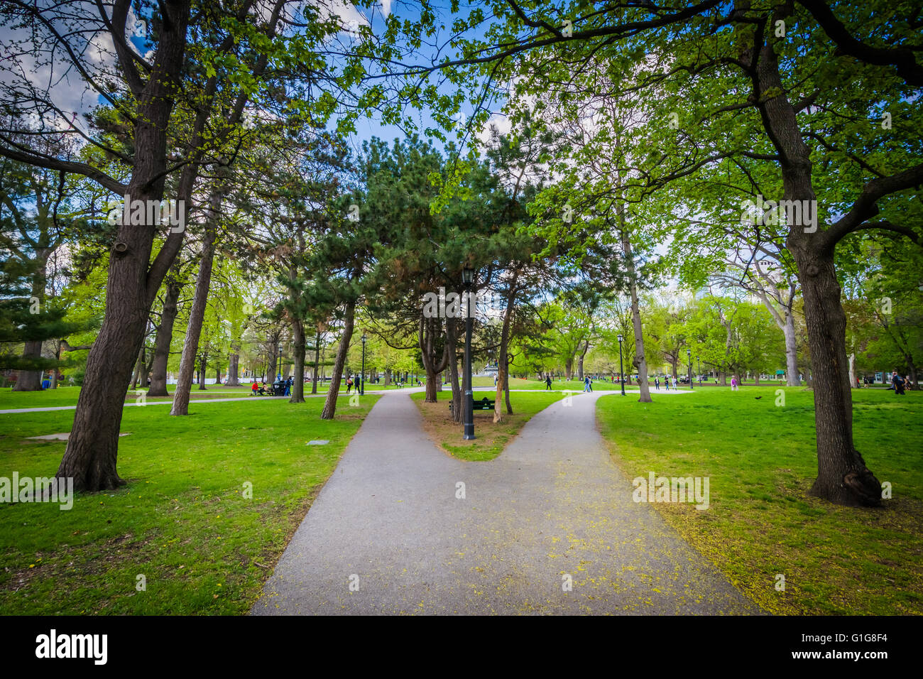 Queens park toronto blue sky hi-res stock photography and images - Alamy