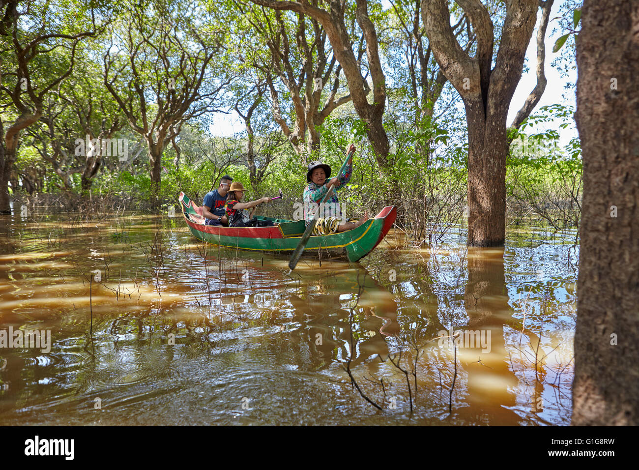 Mangrove forest in Kompong Phluk, Siem Reap, Cambodia Stock Photo