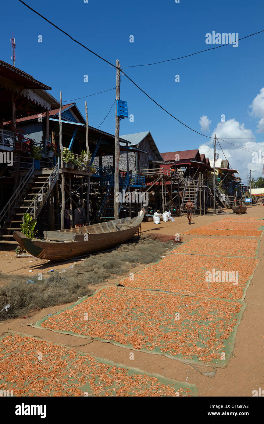 Dry shrimps at the floating village of Kompong Phluk, Siem Reap, Cambodia Stock Photo