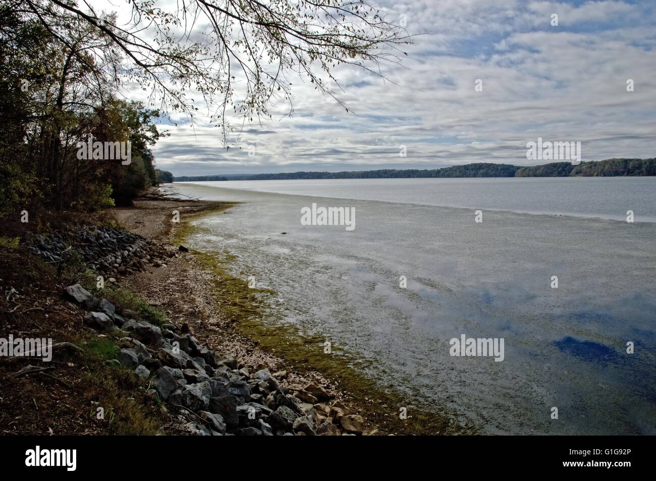 Trace natchez bridge hi-res stock photography and images - Alamy