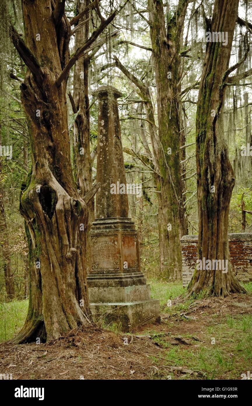 Old Natchez Trace High Resolution Stock Photography and Images - Alamy