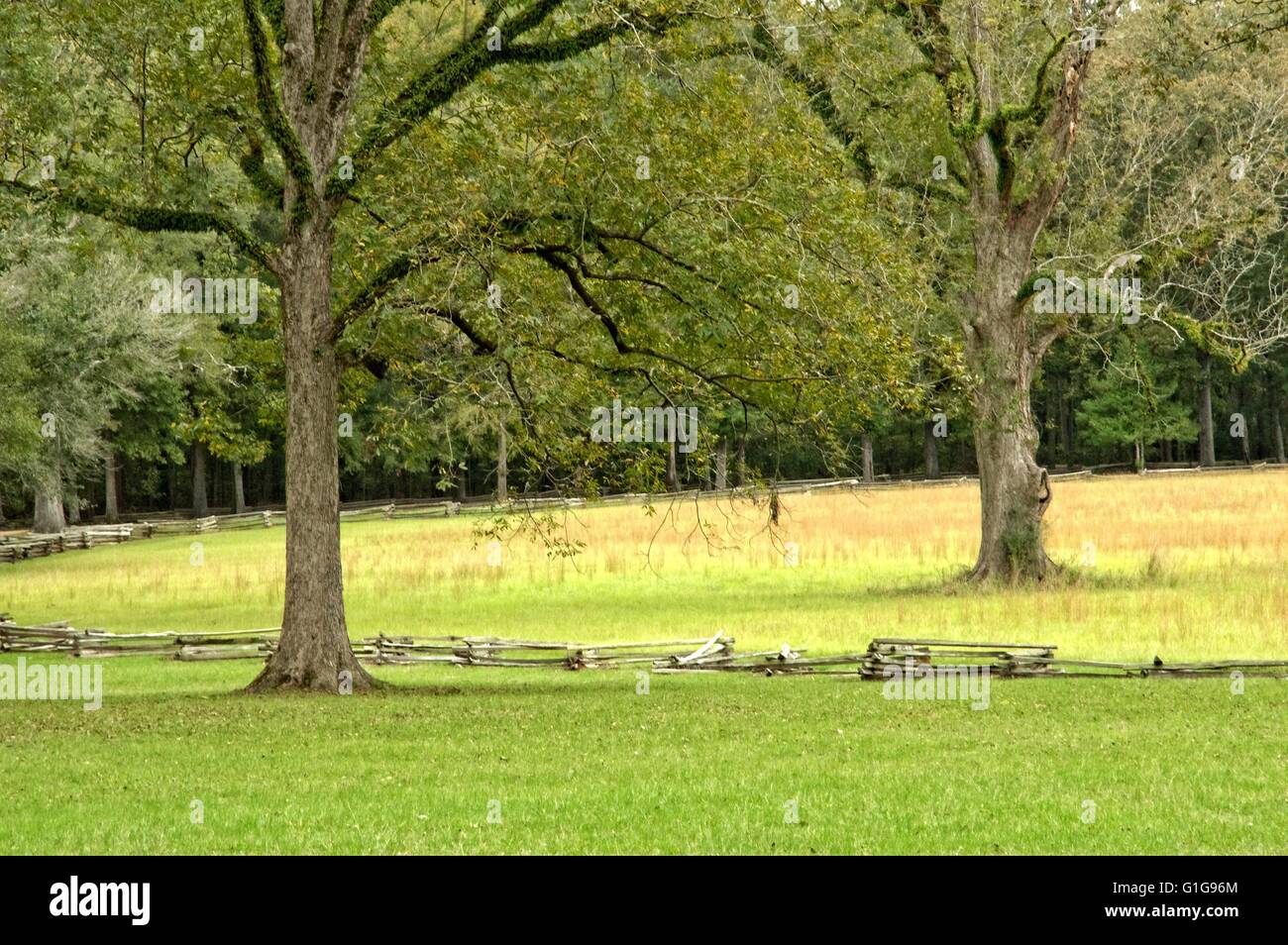 Along the Natchez Trace in the state of Mississippi Stock Photo