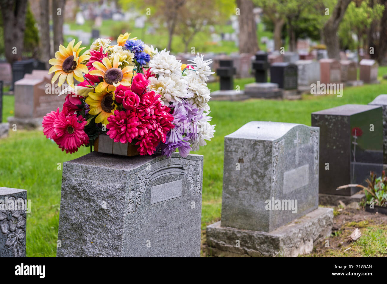 Flowers on a tombstone in a cemetary with headstones in the background Stock Photo