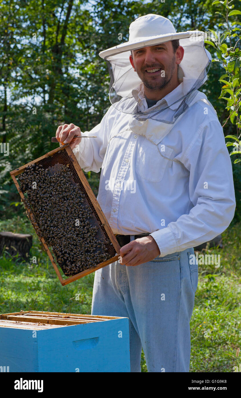 Young beekeeper smiling and showing his bee colony Stock Photo