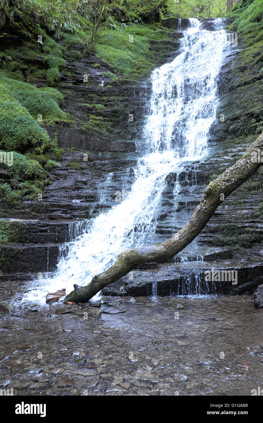The Water Break its Neck waterfall in Warren Wood near New Radnor in the Radnor hills Radnorshire, Powys, Wales Stock Photo