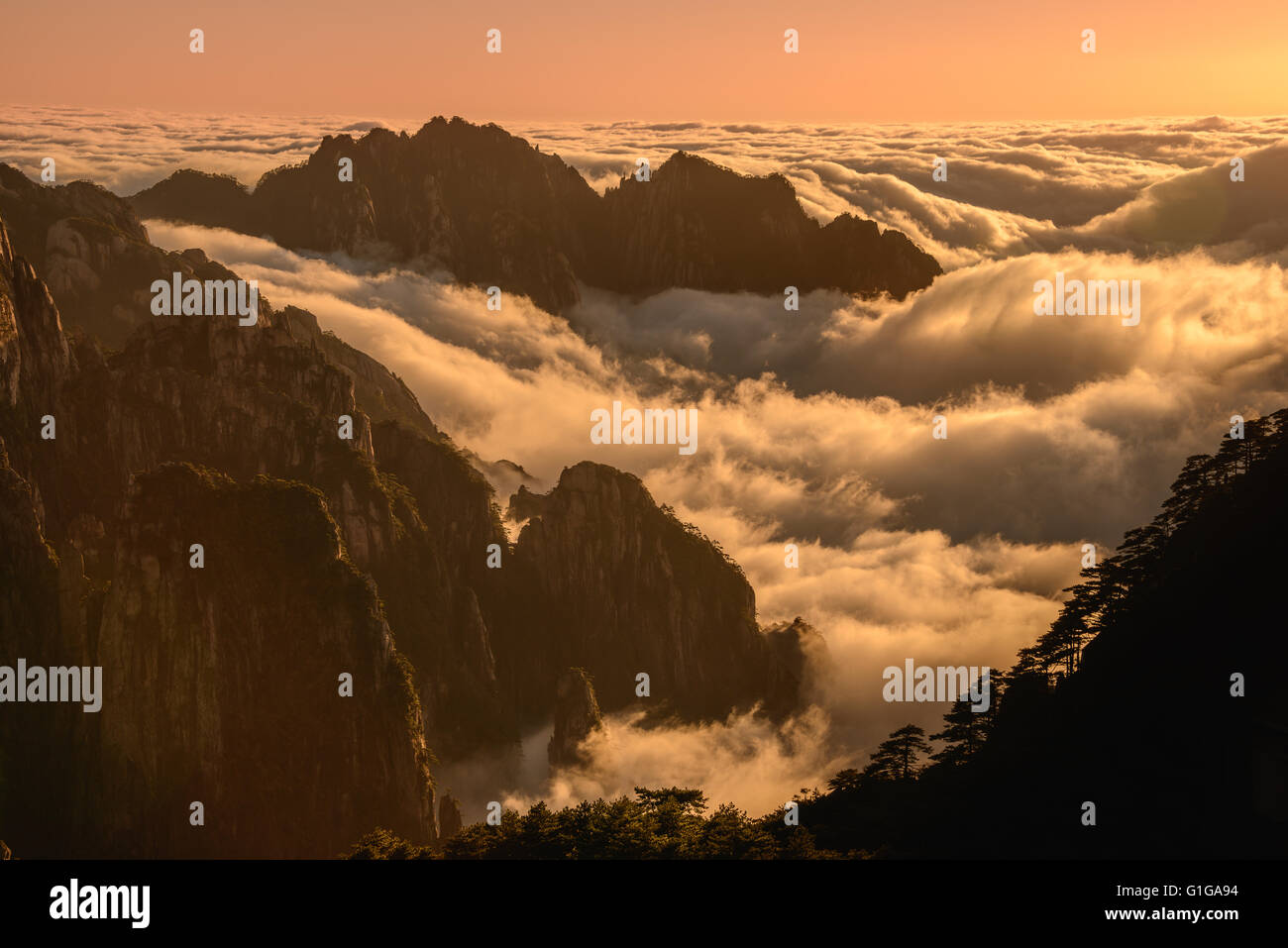 Above the clouds at sunset on Huangshan mountain in Anhui province, China Stock Photo