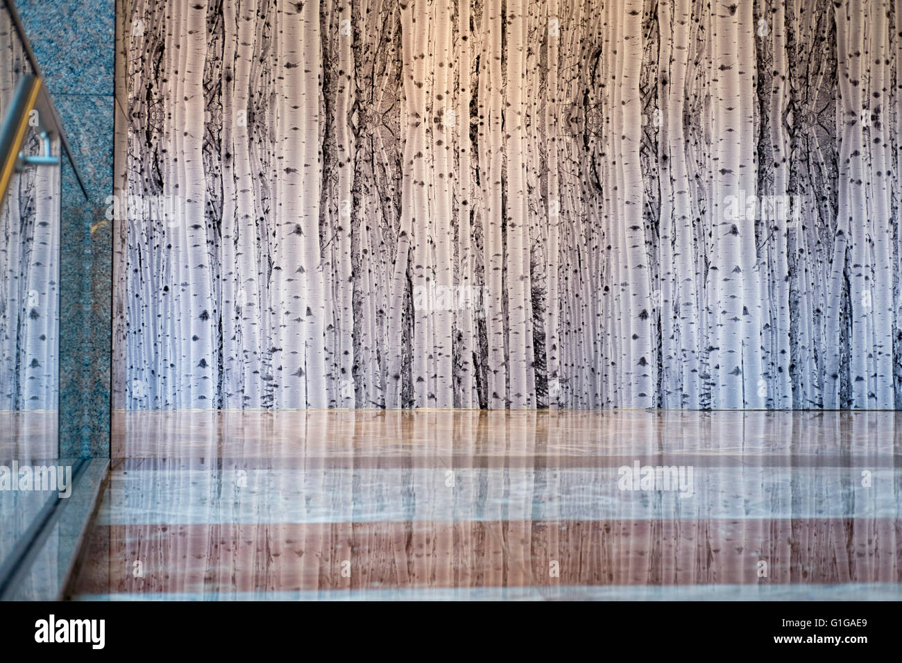 Birch tree graphic wall at Brookfield Place in downtown Manhattan New