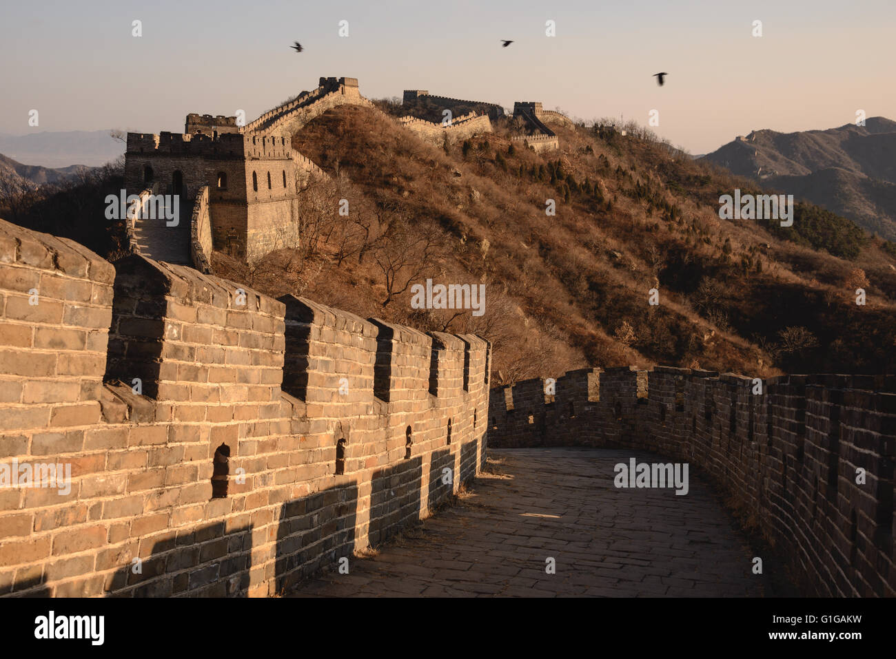 Watch towers on the Mutianyu section of the Great wall of China Stock Photo