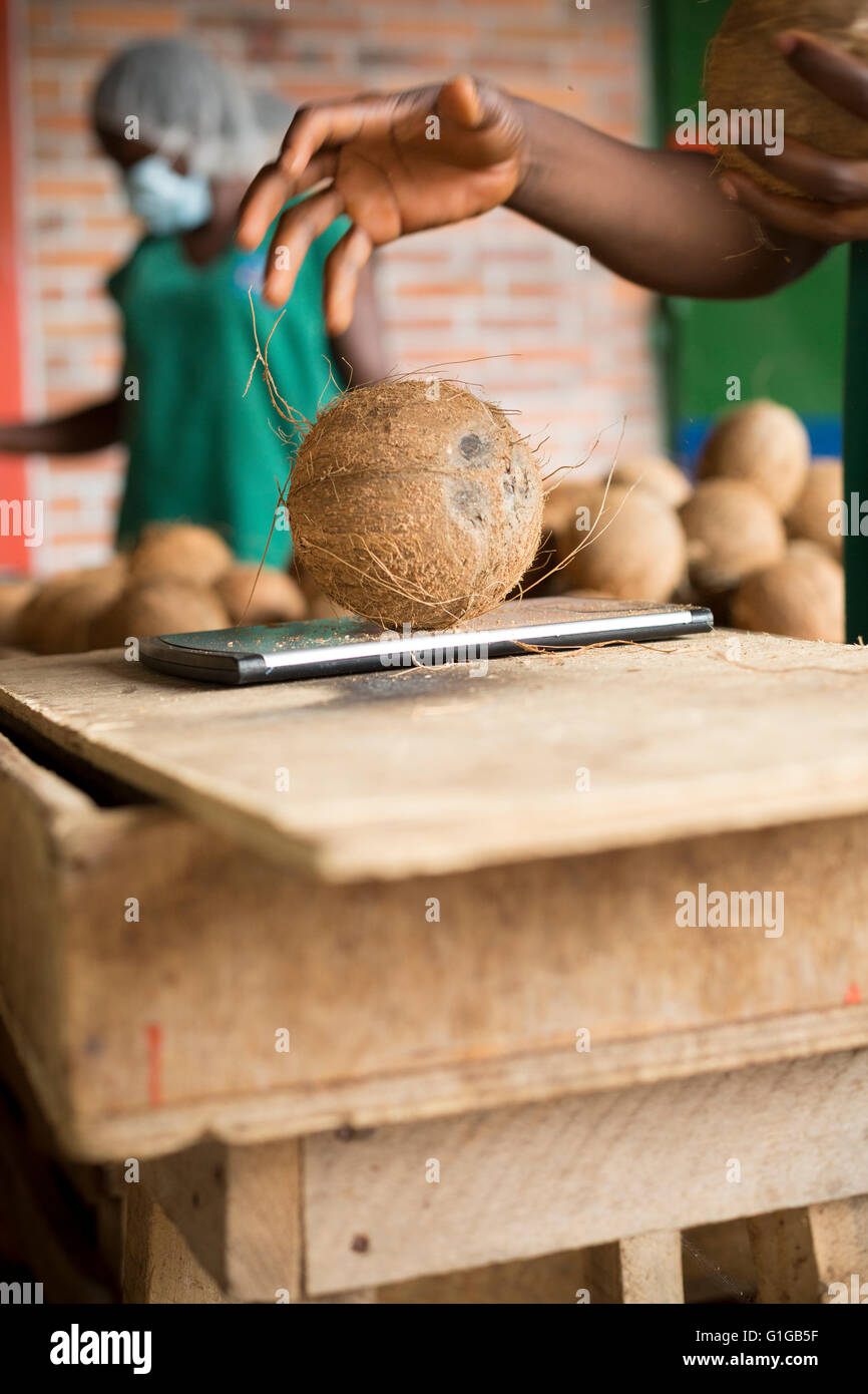 Fair trade coconut grower / processor in Grand Bassam, Ivory Coast, West Africa. Stock Photo