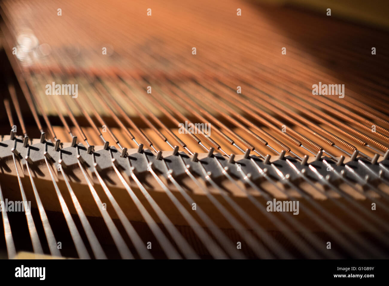 Strings of a grand piano Stock Photo Alamy