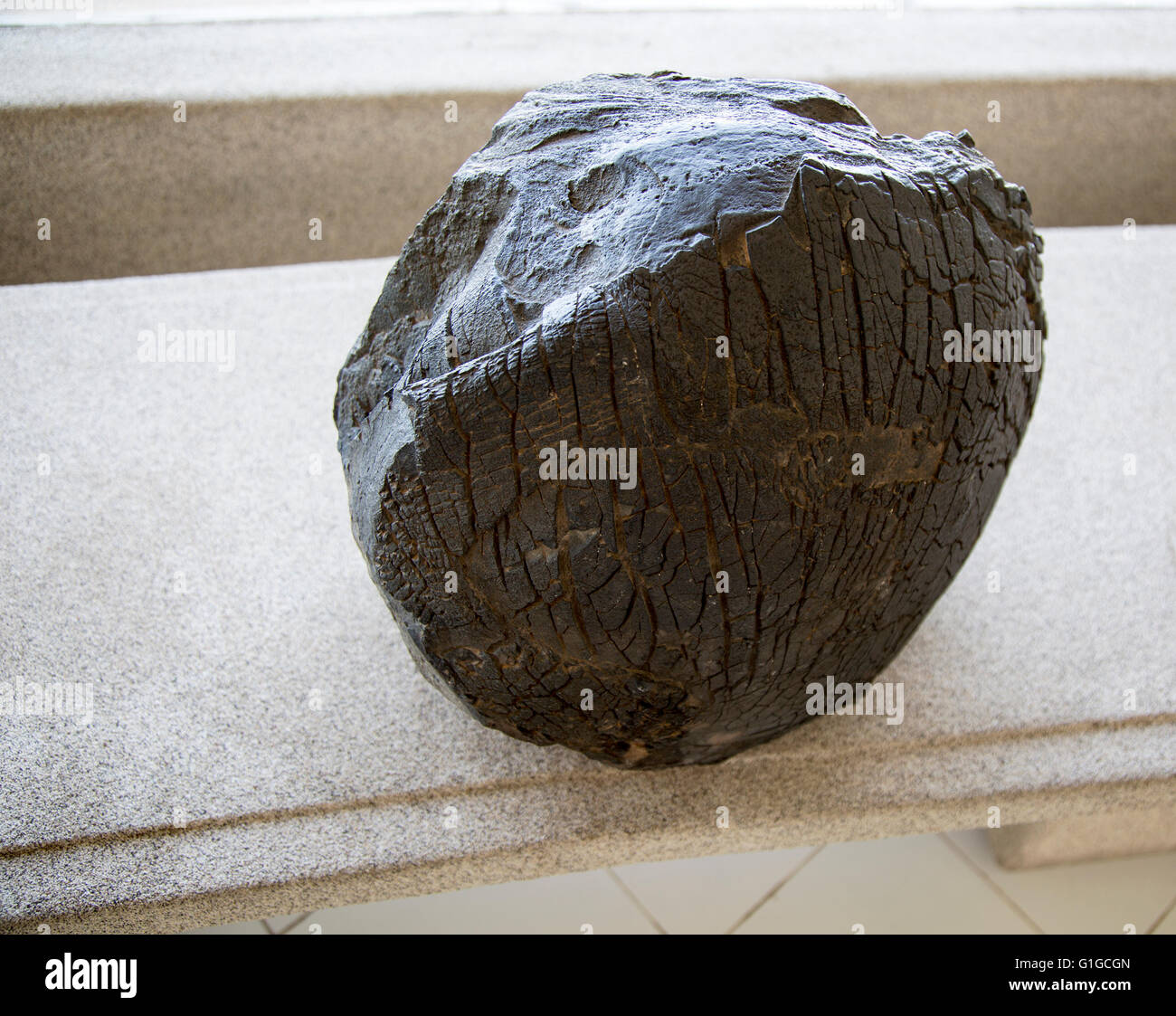 Volcano bomb rock sample geology display, Casa de los Volcanes volcanic ...