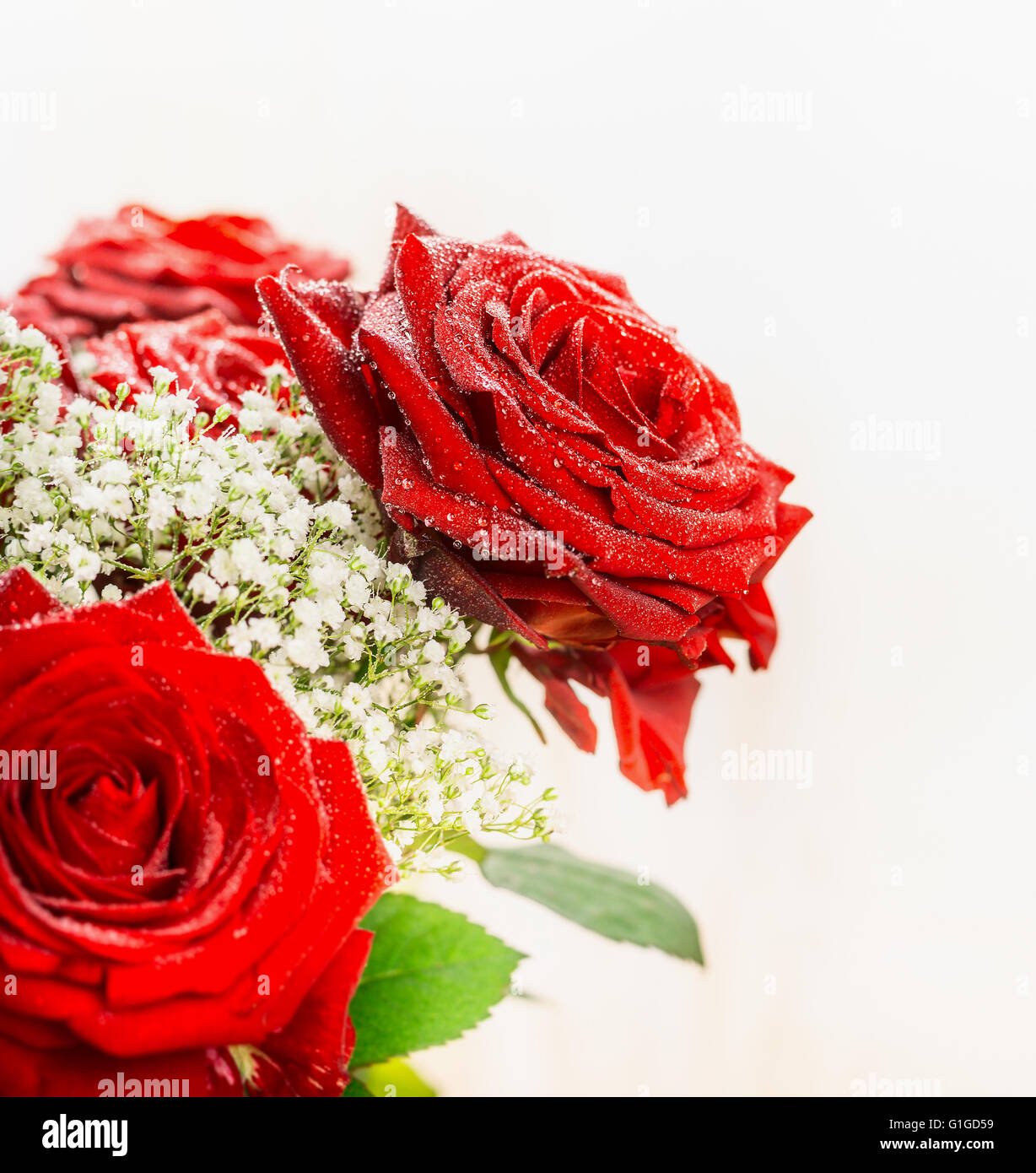 Red roses on light background, close up, side view, Festive roses ...