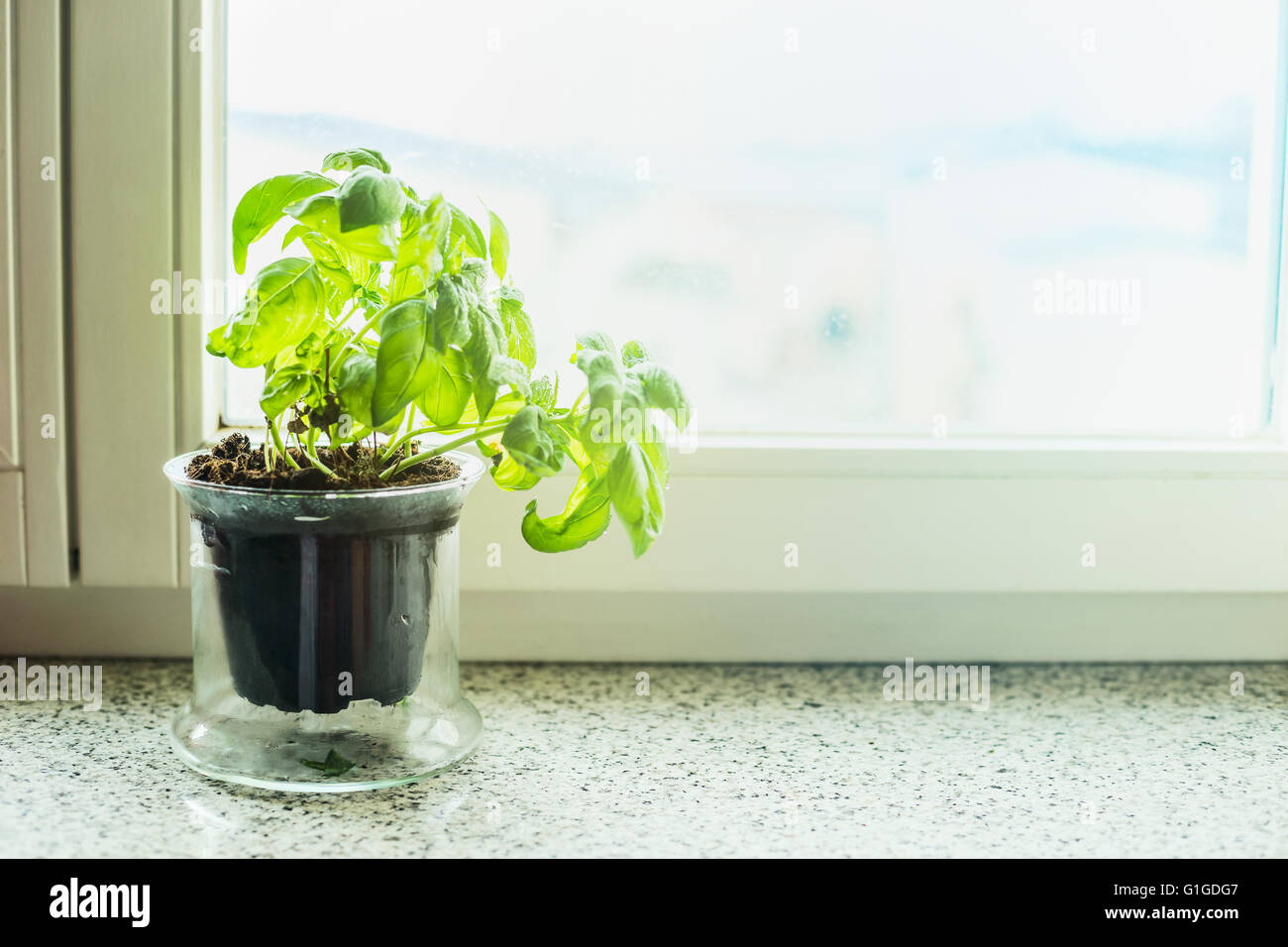 Windowsill hires stock photography and images Alamy