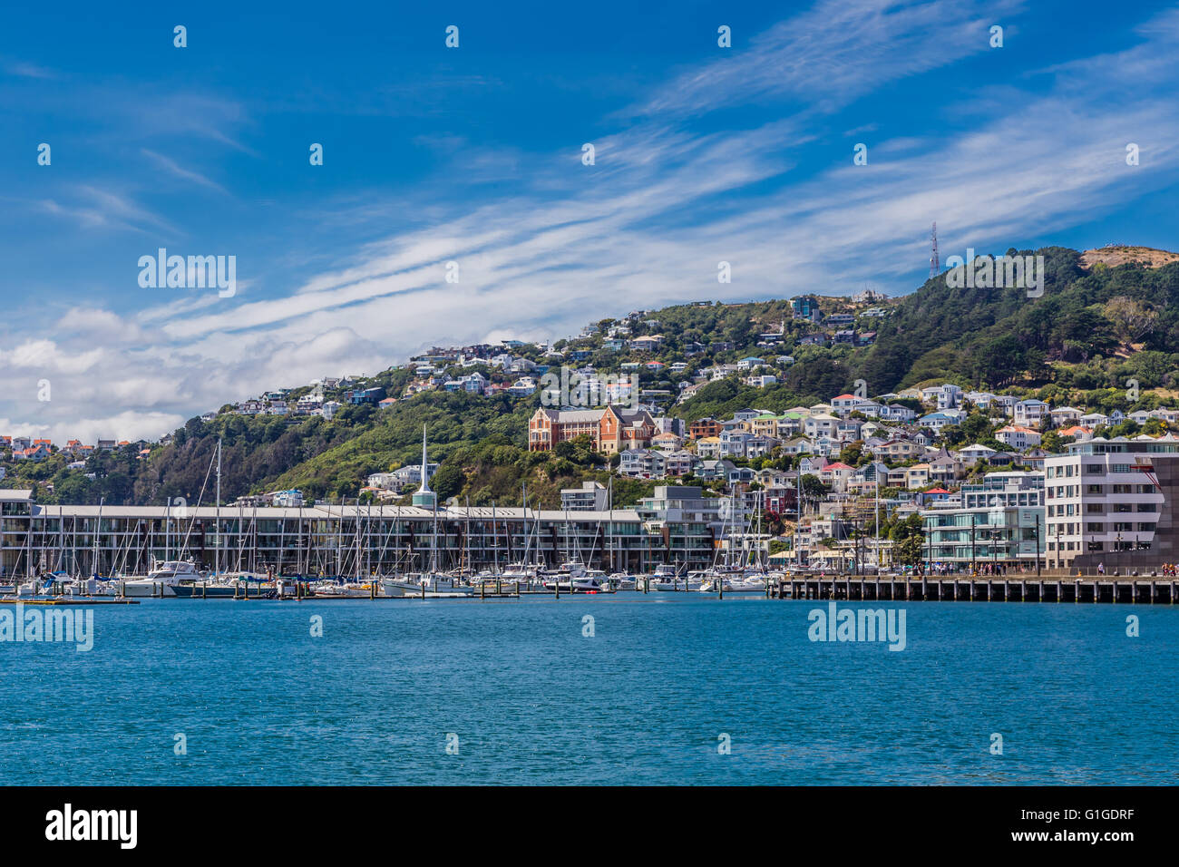 Yachts in Harbor, Wellington, New Zealand in Background Stock Photo