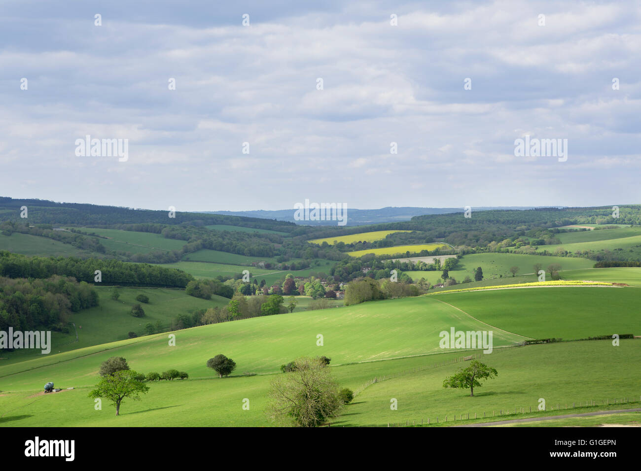 Early summer in the South Downs of England. Rolling green chalk hills