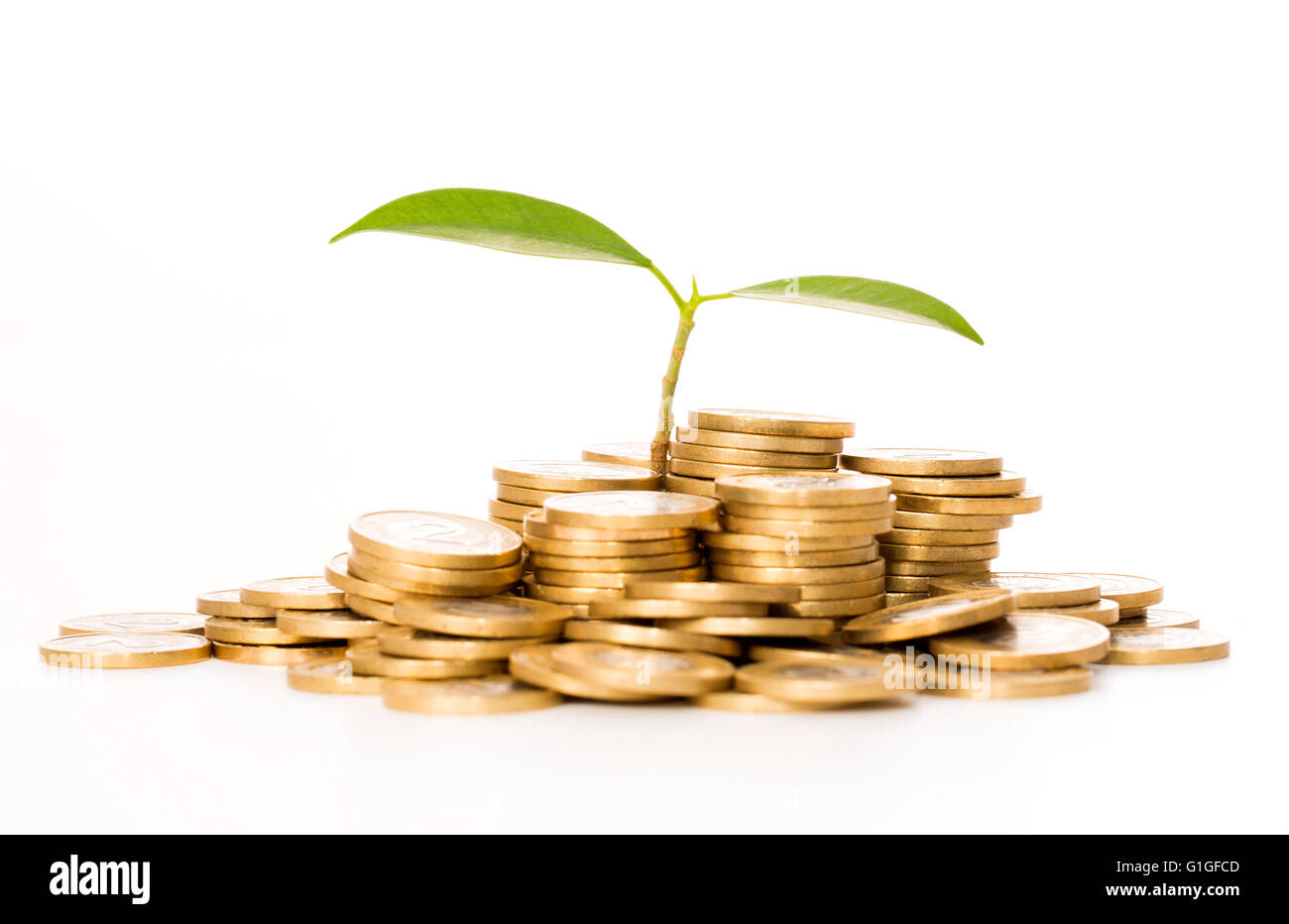Money concept. Plant growing on coins. Stock Photo