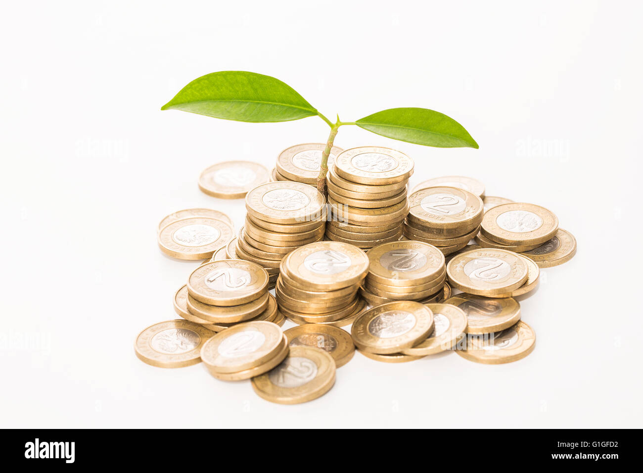 Money concept. Plant growing on coins. Stock Photo