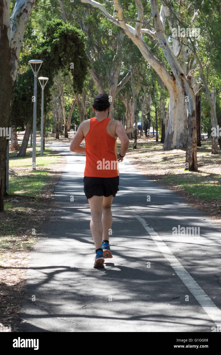 Jogger running through the parkland in Adelaide Australia Stock Photo