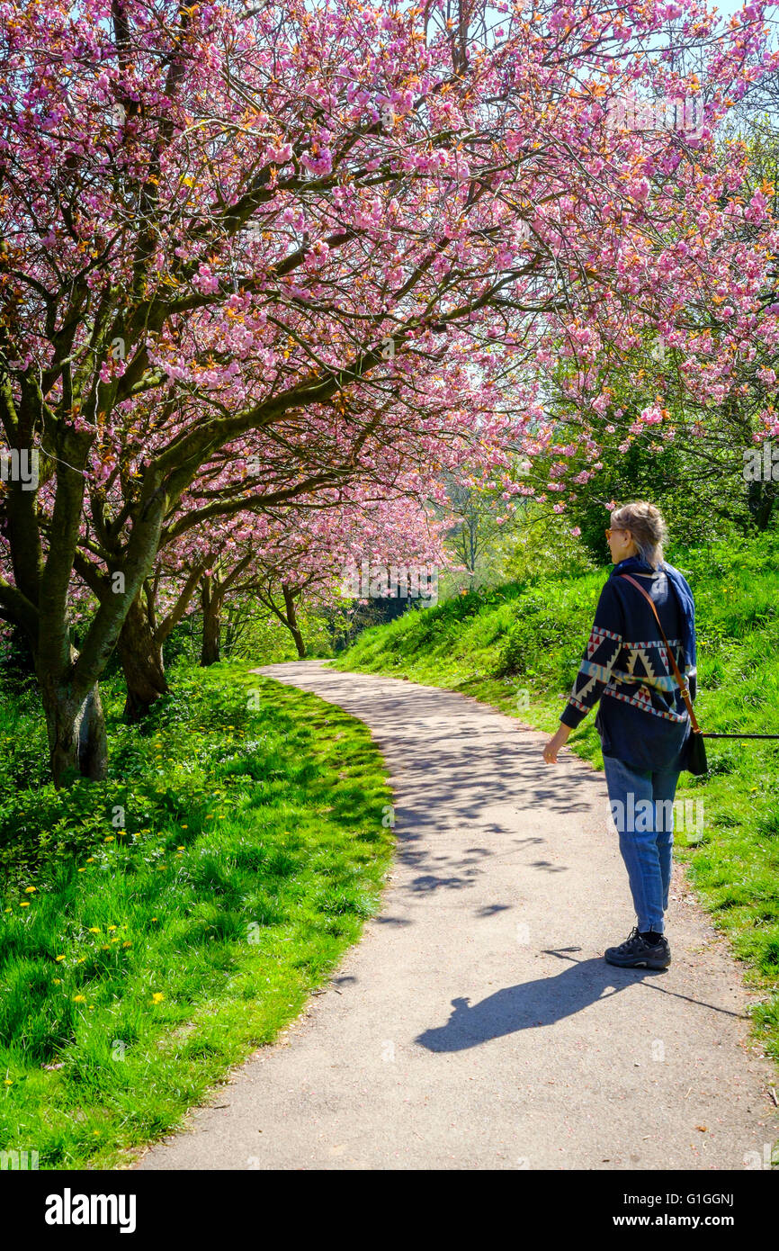 Lady with cherry hi-res stock photography and images - Alamy