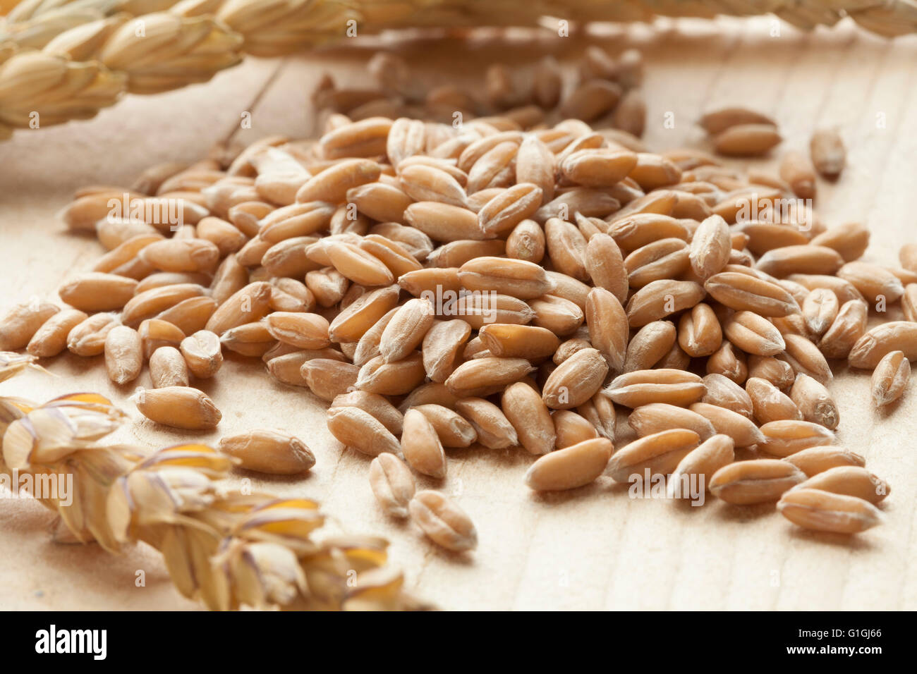 Heap of raw Spelt wheat  on white background Stock Photo