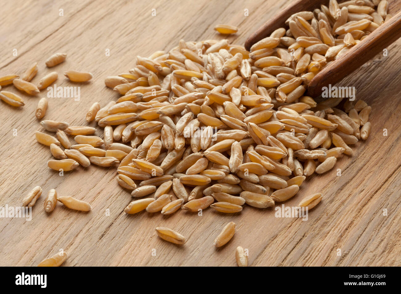 Wooden spoon with kamut kernels on the table Stock Photo